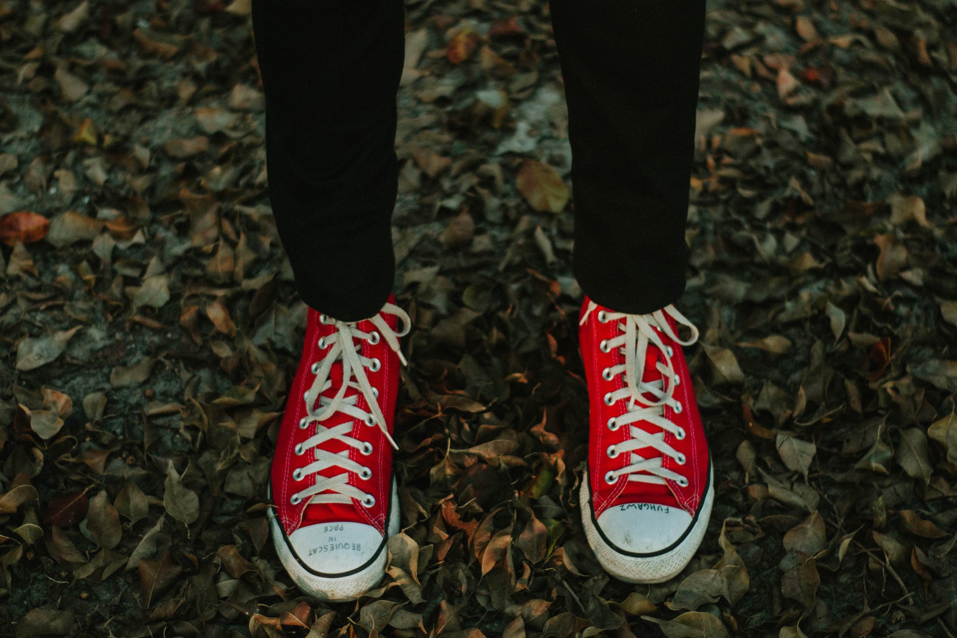 person wearing red and white sneakers standing on withered leaves